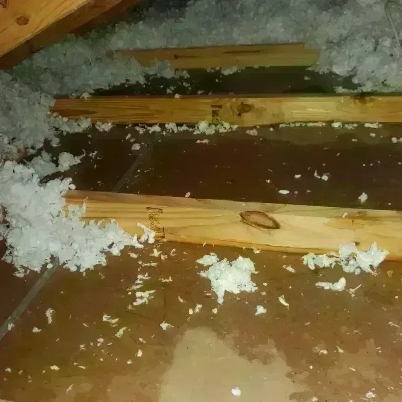 Attic Water Damage in Linden, CA