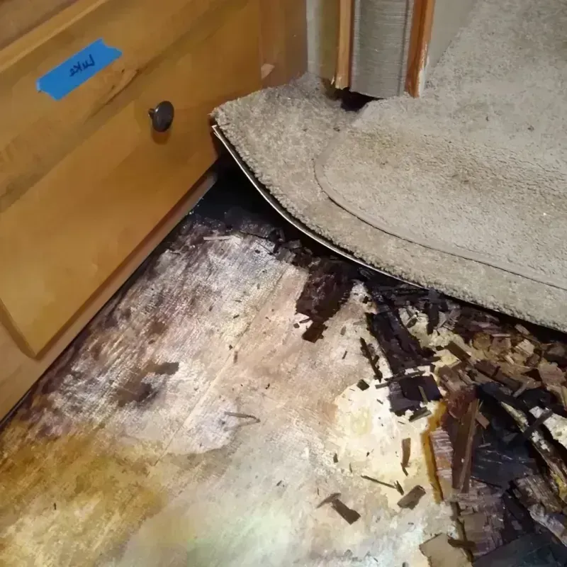 Wood Floor Water Damage in Linden, CA